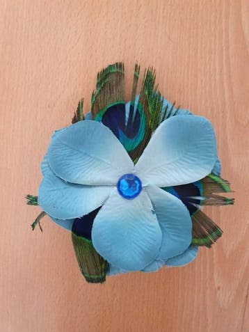 Blue Peacock Flower., Verzenden, Nieuw