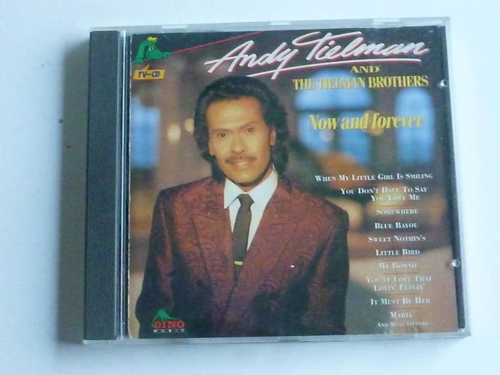 Andy Tielman - Now and Forever, Cd's en Dvd's, Cd's | Pop, Zo goed als nieuw, Ophalen of Verzenden
