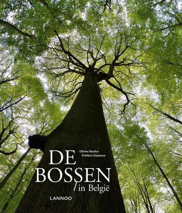 Bossen in België 9782873869151 Olivier Baudry, Boeken, Verzenden, Zo goed als nieuw, Olivier Baudry