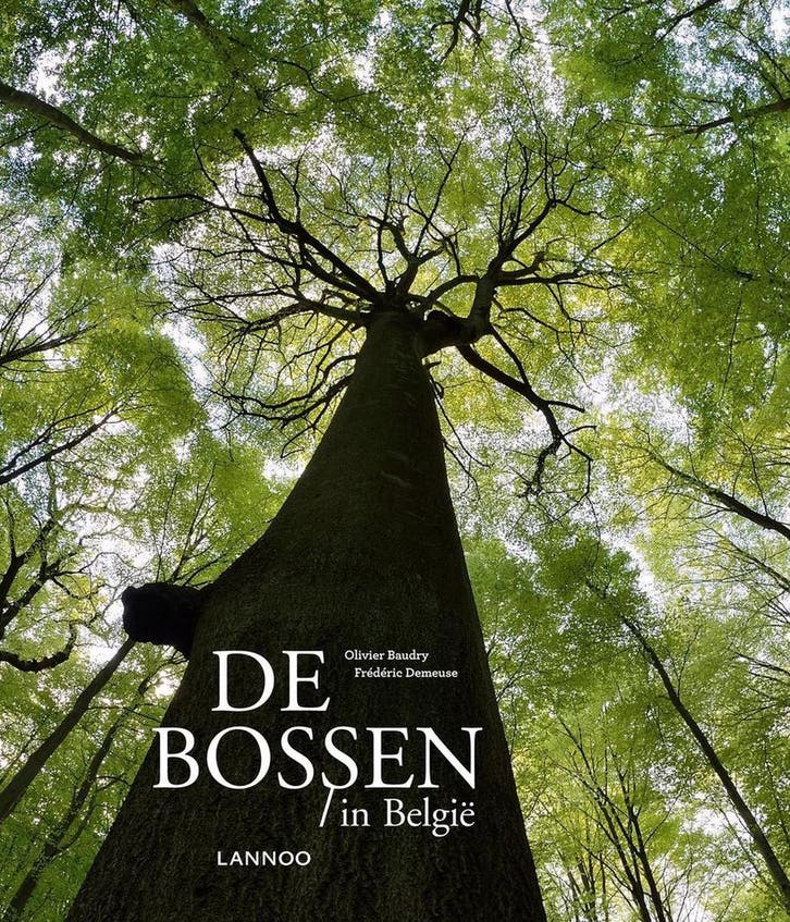 Bossen in België 9782873869151 Olivier Baudry, Boeken, Wetenschap, Zo goed als nieuw, Verzenden
