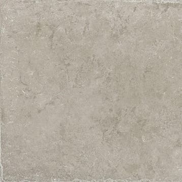 Vloertegel/Wandtegel Grijs 40x60cm (Vloeren, Bouwmaterialen), 60 cm of meer, 40 tot 60 cm, Keramiek, Nieuw