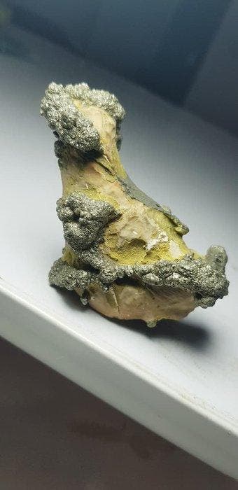 Hondenvormige pyriet Mineralencollectie - Hoogte: 71 mm -