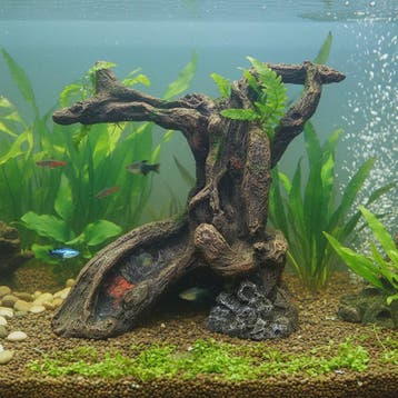 Realistische Hars Boomstronk Decoratie voor Aquarium & Terra, Verzenden, Nieuw