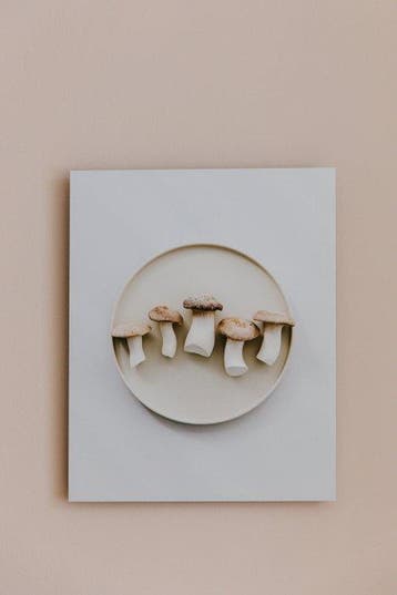 Joske Simmelink - King oyster mushrooms