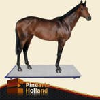 - Paardenweegschaal (1000kg x 200g) ---- € 1599,- !, Dieren en Toebehoren, Ophalen of Verzenden, Nieuw