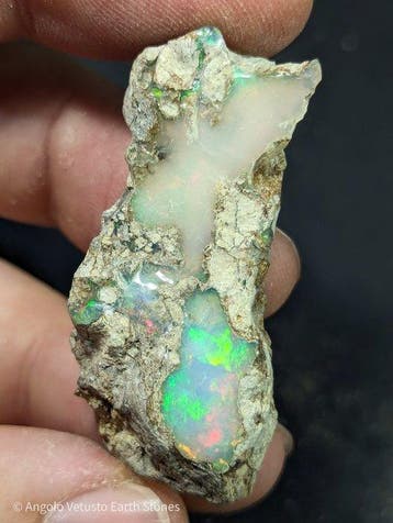 54,40 ct - Grote natuurlijke ruwe Welo edelopaal, levendig