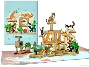 Spelende Katten op Krabpaal Pop-up Kaart - 3D Wenskaart K..., Verzenden, Nieuw
