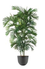Areca Palm kunstplant, H140cm, Huis en Inrichting, Kamerplanten, Ophalen of Verzenden, Palm, 150 tot 200 cm