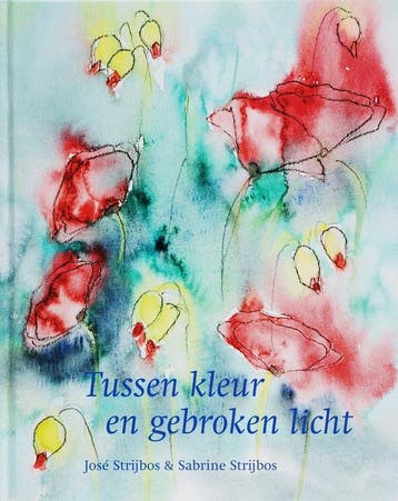 Tussen kleur en gebroken licht - J. Strijbos 9789058976031, Verzenden, Zo goed als nieuw, J. Strijbos