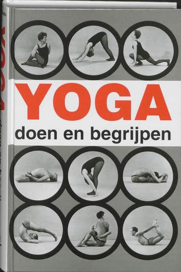 Yoga doen en begrijpen - A. van Lysebeth 9789020240016, Boeken, Verzenden, Gelezen, A. van Lysebeth