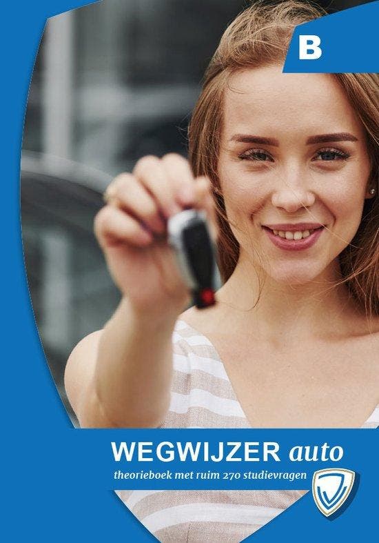 Auto, wegwijzer / Verkeerswegwijzer - Cgcp Verstappen, Boeken, Techniek, Gelezen, Verzenden