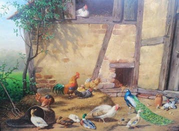 Fred Arends (1949) - Pluimvee dieren op Hollandse boerderij, Antiek en Kunst, Kunst | Schilderijen | Klassiek