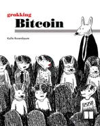 Grokking Bitcoin 9781617294648 Kalle Rosenbaum, Verzenden, Gelezen, Kalle Rosenbaum