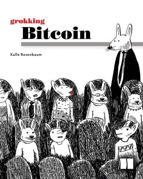 Grokking Bitcoin 9781617294648 Kalle Rosenbaum, Boeken, Taal | Engels, Gelezen, Verzenden