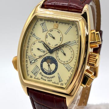 Steinhausen - Zonder minimumprijs - TW393G - Heren - 2010, Nieuw