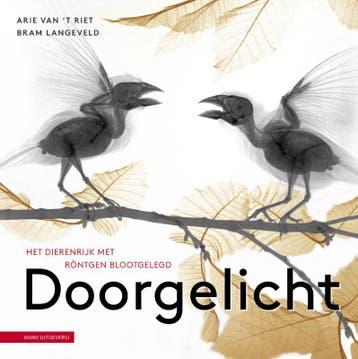 Doorgelicht | Bram Langeveld | Nieuw, Ophalen of Verzenden, Nieuw, Bram Langeveld