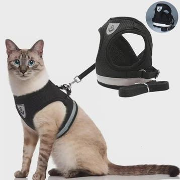 Verstelbaar Katten en Honden Tuigje met Riem - Ontsnappingsv, Verzenden, Nieuw