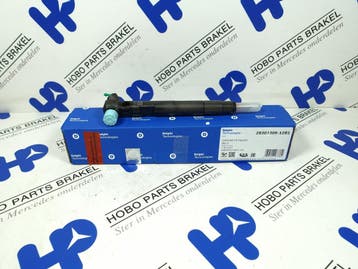 Injector A 651 070 3087 Delphi (Nieuw), Ophalen of Verzenden, Nieuw, Mercedes-Benz