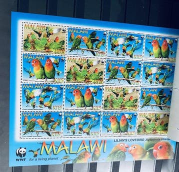 Wereld - Collectie Thema Vogels, Gestempeld