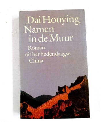 Namen in de muur - Dai Houying 9789029022460, Verzenden, Gelezen, Dai Houying