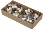 Vogelnestjes met 1 vogel en 2 eitjes 6 cm doos 8 stuks, Ophalen of Verzenden, Nieuw