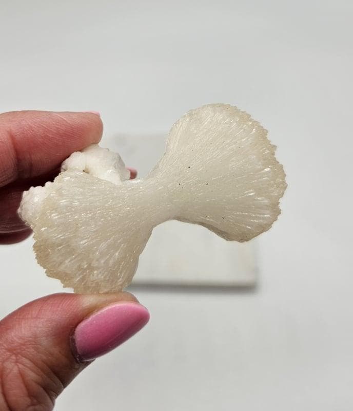 Stilbiet Bowtie (strikje), Verzamelen, Mineralen en Fossielen, Ophalen of Verzenden