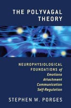 9780393707007 Polyvagal Theory Stephen W. Porges, Boeken, Verzenden, Nieuw, Stephen W. Porges