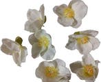 Bloemhoofd Zijdenbloem per stuk, Ophalen of Verzenden, Nieuw