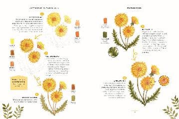 Bloemen & planten / Aquarelleren in 10 stappen 9789463597678, Verzenden, Zo goed als nieuw, Eleanor Longhurst
