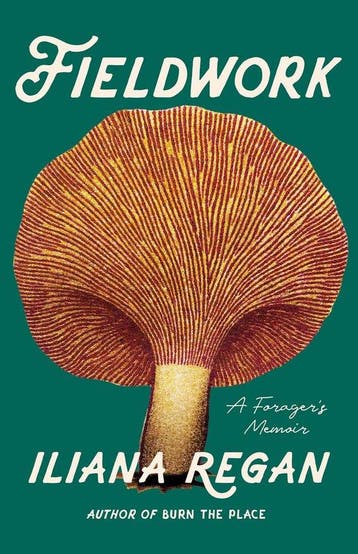 Fieldwork - Iliana Regan 9781572843189, Verzenden, Gelezen, Iliana Regan