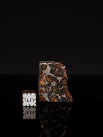 Sericho meteoriet Pallasiet - 26 g - (1)