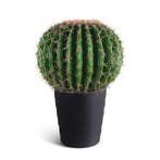 IvoQ Kunst Cactus 50 cm, Verzenden, Nieuw