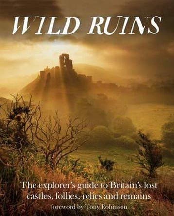 Wild Ruins - Dave Hamilton 9781910636022, Verzenden, Zo goed als nieuw, Dave Hamilton