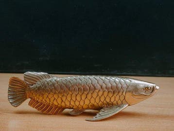 Beeldje - Arowana fish figurine - Brons