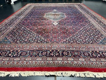 Bidjar - Vloerkleed - 350 cm - 244 cm, Nieuw