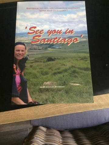 See you in Santiago - Annelies Boshoven 9789462330078, Boeken, Reisverhalen, Verzenden, Zo goed als nieuw, Annelies Boshoven