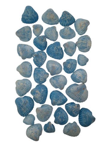 White Chippy Schelpen Blauw 500 gram, Ophalen of Verzenden, Nieuw