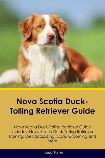 9781395862848 Nova Scotia Duck-Tolling Retriever Guide No..., Verzenden, Nieuw, Isaac Turner