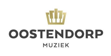 Leer hier alles wat u moet weten over silent piano's, Gebruikt