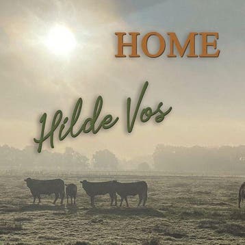 Hilde Vos - Home - CD, Ophalen of Verzenden, Nieuw in verpakking