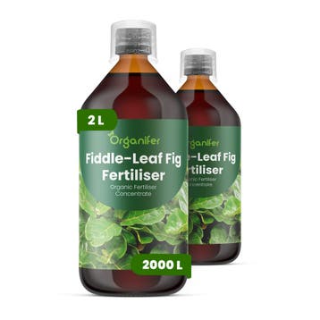 Vioolbladplant Vloeibare meststof - 2x1 liter, Verzenden, Mest