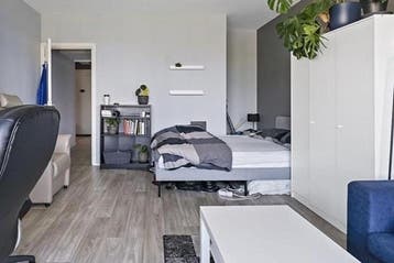 Appartement Plantijnstraat in Leiden, Via bemiddelaar, Leiden, Appartement, Zuid-Holland