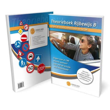 Auto Theorieboek 2025 - Theorie Boek Rijbewijs B, Verzenden, Nieuw, Overige niveaus, Zorgeloos Studeren