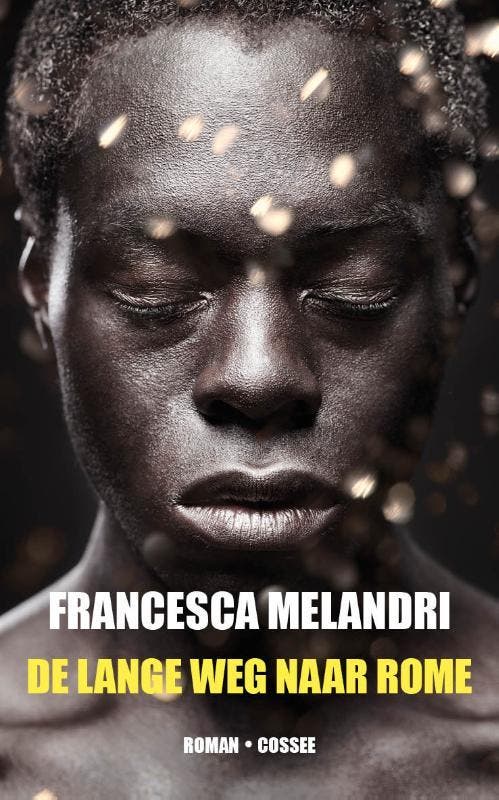De lange weg naar Rome 9789059367784 Francesca Melandri, Boeken, Romans, Gelezen, Verzenden