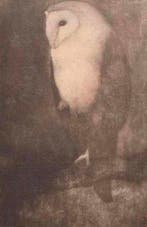 Jan Mankes (1889-1920) - Uil op Boomtak, Antiek en Kunst