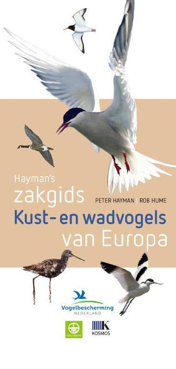 Haymans zakgids kust- en wadvogels / Haymans Zakgids, Boeken, Verzenden, Gelezen, Peter Hayman