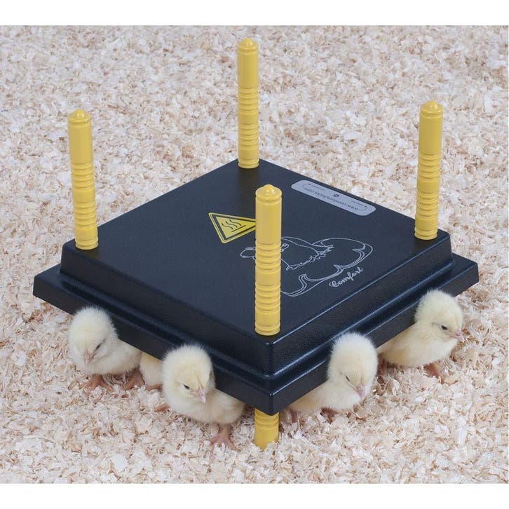 Comfort Warmteplaat (25×25 cm) voor 15-20 Kuikens, Dieren en Toebehoren, Pluimvee | Toebehoren, Overige typen, Nieuw, Ophalen of Verzenden