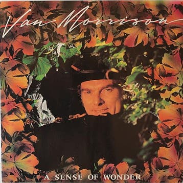 LP gebruikt - Van Morrison - A Sense Of Wonder, Verzenden, Zo goed als nieuw, Overige formaten