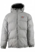 Dickies Jas in maat M Grijs, Kleding | Heren, Jassen | Winter, Verzenden, Zo goed als nieuw, Overige kleuren, Dickies