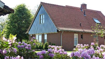Luxe vakantiewoning in Twente rand bos Fietsen/Wandelen, In bos, Overijssel, Landelijk, 1 slaapkamer